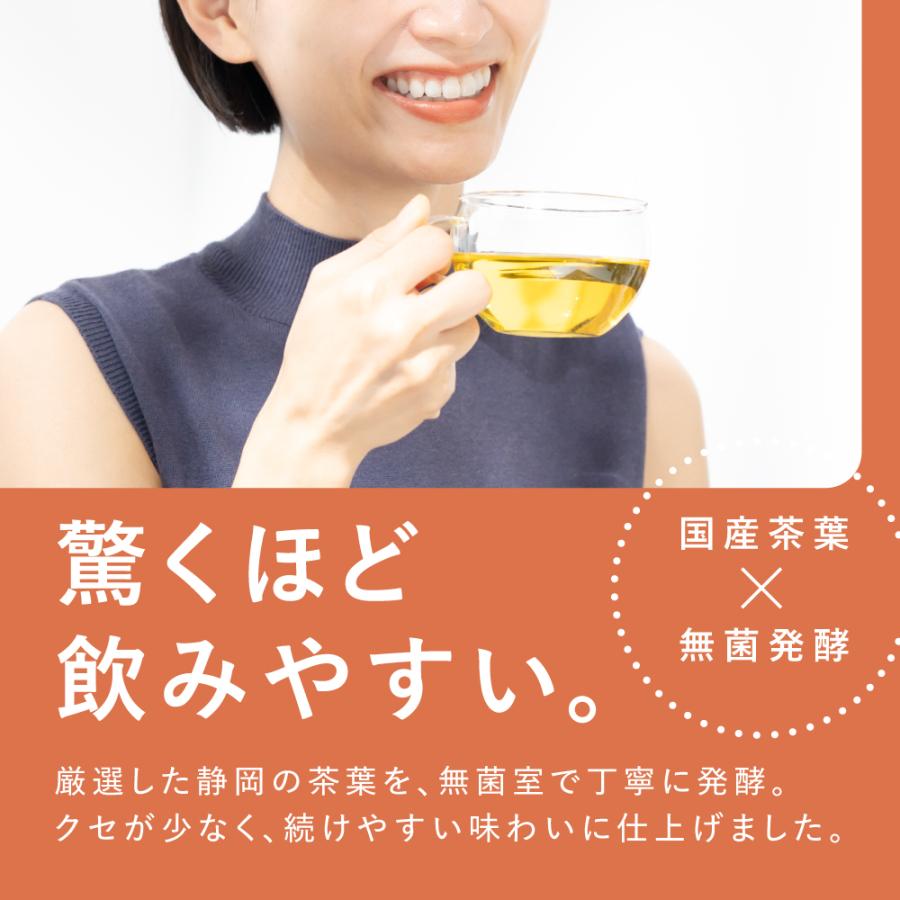 ダイエット茶 健康茶 プーアール茶 国産 ティーパック ダイエット お茶 SARYU-SOSO 5g×30包 ポイント利用 ポイント消化 爆買 |  | 02
