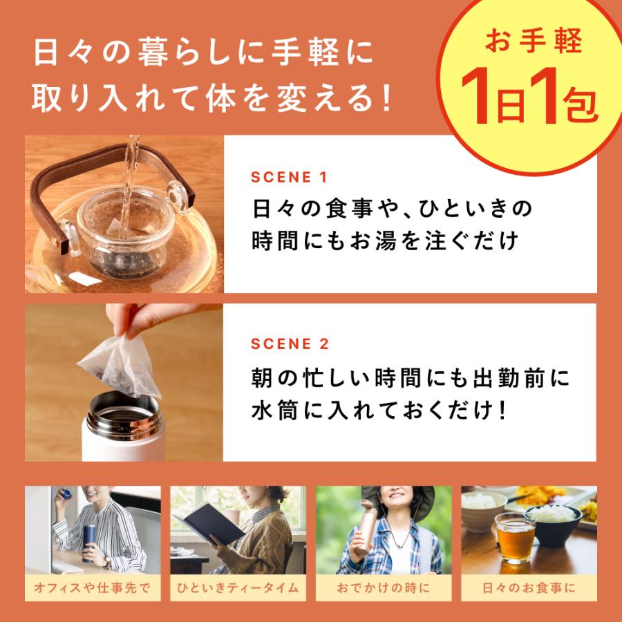 ダイエット茶 健康茶 プーアール茶 国産 ティーパック ダイエット お茶 SARYU-SOSO 5g×30包 ポイント利用 ポイント消化 爆買 |  | 03