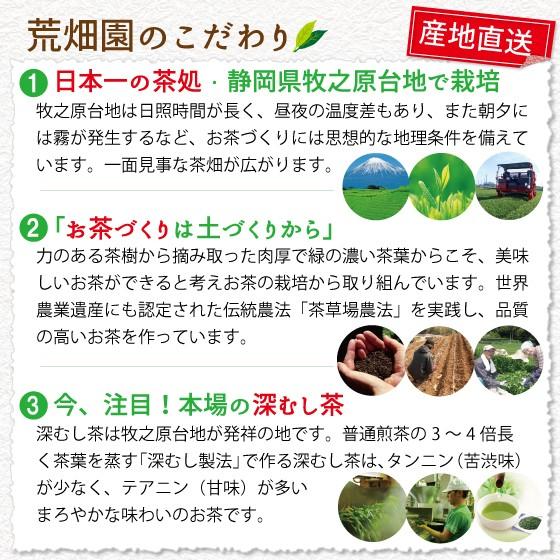 お茶 緑茶 茶葉 深蒸し茶 日本茶 お茶の葉 静岡茶 国産品 カテキン 極上荒茶100g 27%OFF セール｜arahata｜07