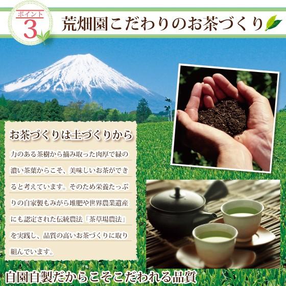 お茶 緑茶 ティーバッグ ティーパック 深蒸し茶 日本茶 静岡茶 水出し緑茶 国産品 カテキン 寿し茶パック5g×20ヶ入 7%OFF セール｜arahata｜11