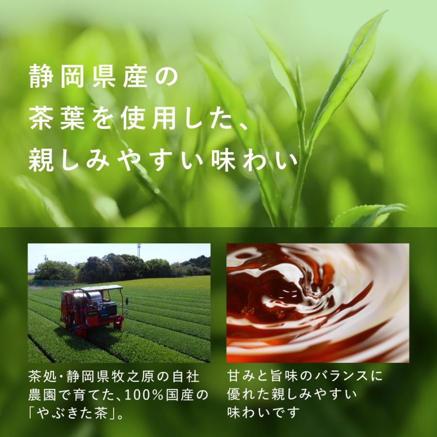 健康茶 プーアール茶 国産 プーアル茶 ティーパック ダイエット お茶 SARYU-SOSO 2g×30包 送料無料 ポイント利用 ポイント消化 爆買 | お茶の荒畑園 | 13