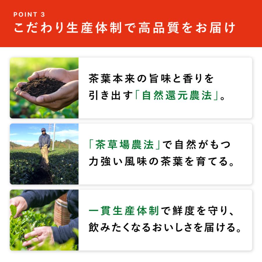 健康茶 プーアール茶 国産 プーアル茶 ティーパック ダイエット お茶 SARYU-SOSO 2g×30包 送料無料 ポイント利用 ポイント消化 爆買 | お茶の荒畑園 | 15