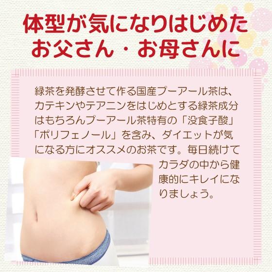 健康茶 プーアール茶 国産 プーアル茶 ティーパック ダイエット お茶 茶流痩々 低カフェイン 5gx10ヶ 3袋 ポイント利用 ポイント消化 爆買 超PayPay祭  ■5948 | お茶の荒畑園 | 07