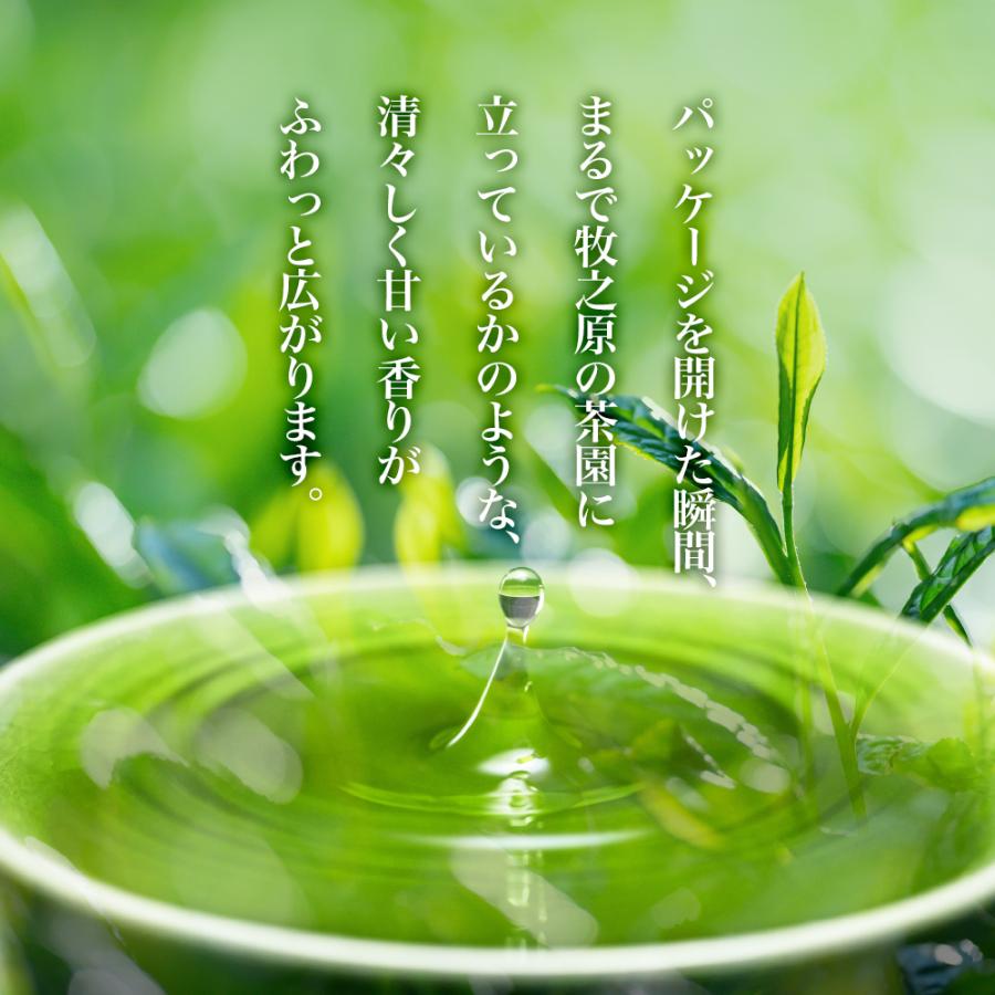 お茶の荒畑園 お茶 緑茶 水出し緑茶 新茶 2026 お茶の葉 茶葉 深蒸し茶