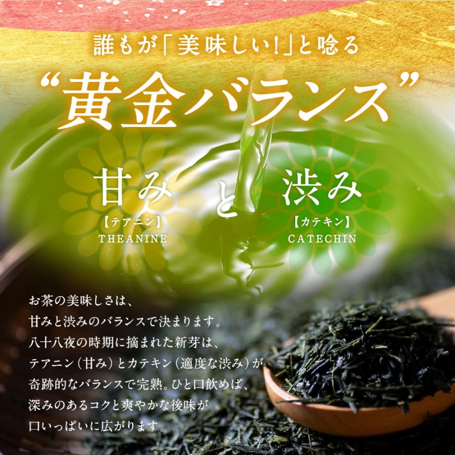 お茶の荒畑園 お茶 緑茶 水出し緑茶 新茶 2026 お茶の葉 茶葉 深蒸し茶