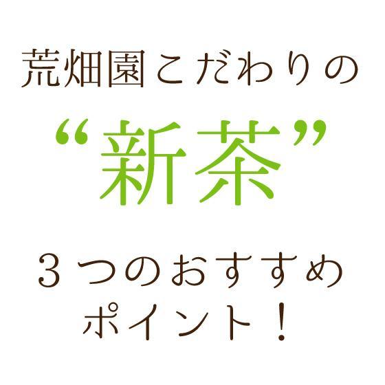 お茶 新茶 2024 緑茶 茶葉 深蒸し茶 日本茶 お茶の葉 静岡茶 カテキン 初摘旬 100g 2袋に1袋おまけ 送料無料｜arahata｜08