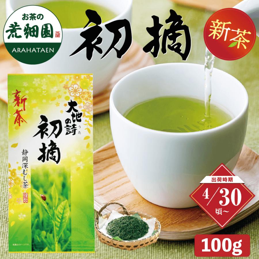 新茶 2025 知覧 深蒸し 鹿児島極上煎茶100g お茶 お茶の葉 緑茶