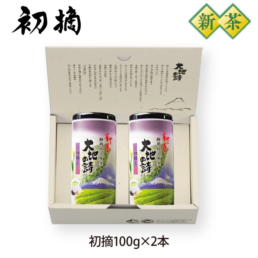 お茶 新茶 2025 緑茶 静岡茶 茶葉 深蒸し茶 ギフト 初摘100g紙缶2本箱入 送料無料 4/30頃より順次発送