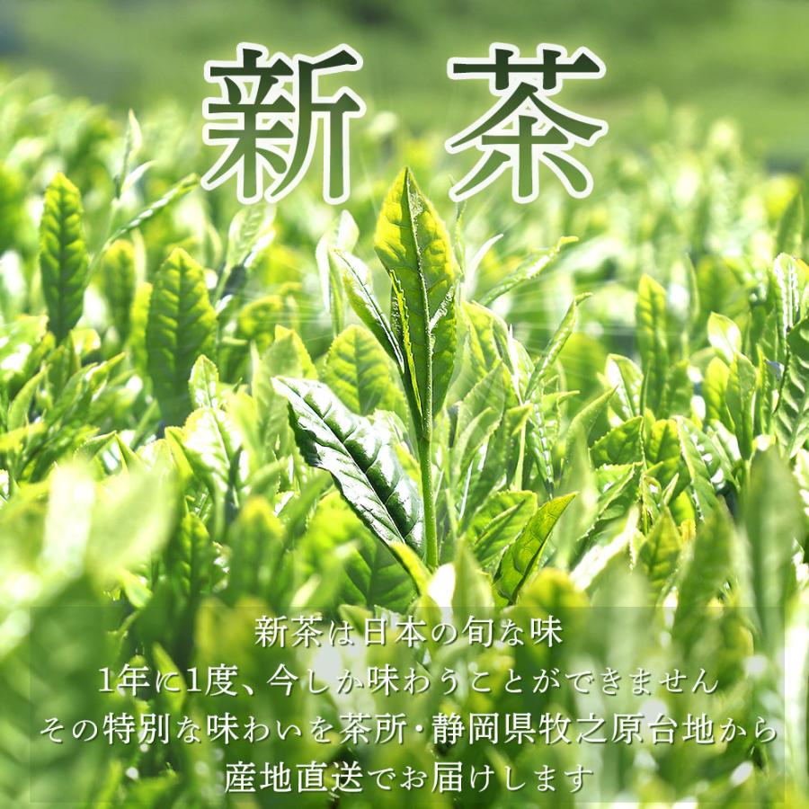 お茶 新茶 2025 緑茶 静岡茶 茶葉 深蒸し茶 ギフト 極上・初摘2袋箱入 送料無料 4/30頃より順次発送