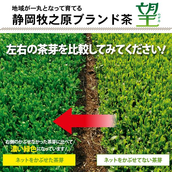 お茶 緑茶 ギフト プレゼント 茶葉 深蒸し茶 日本茶 お茶の葉 静岡茶 国産品 おしゃれ缶 かわいい 紅白だるま缶2本箱入 送料無料｜arahata｜06