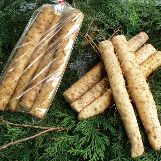 自然薯 じねんじょ 静岡県産 お徳用じねんじょ 約350g : お茶の 自然薯 じねんじょ 静岡県産 お徳用じねんじょ 約350g : お茶の
