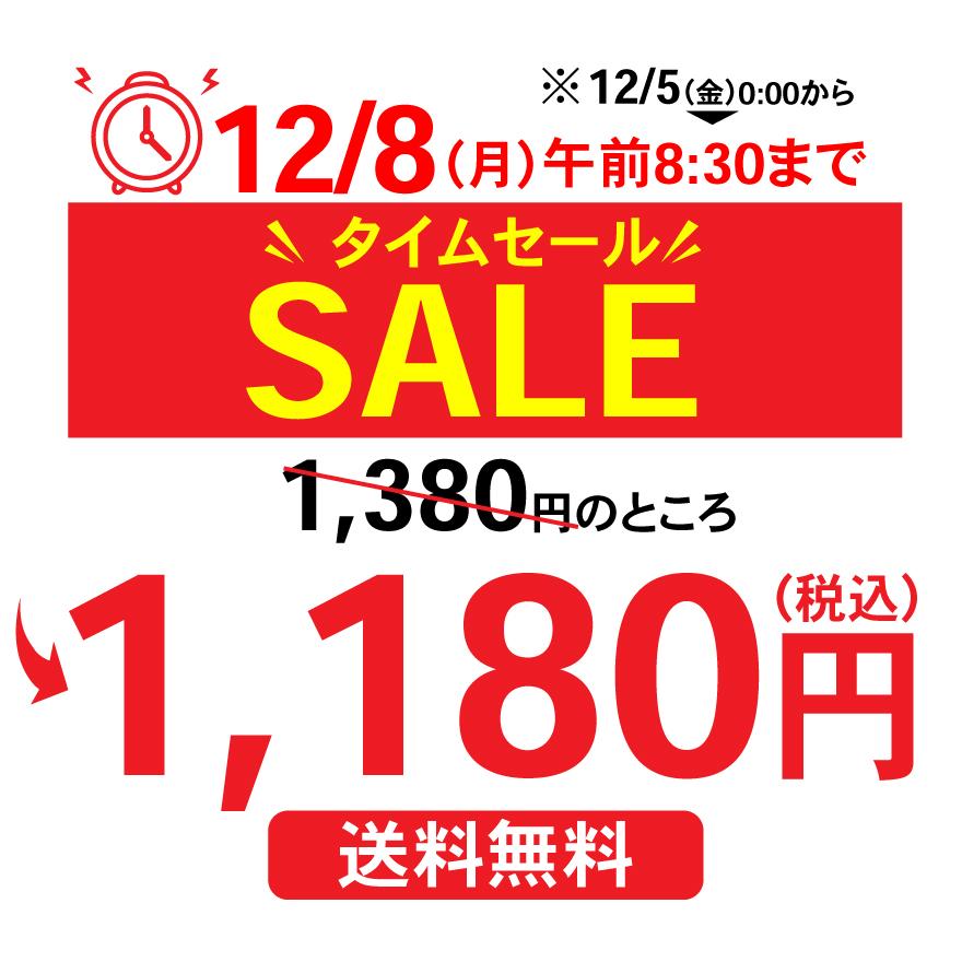 お茶 緑茶 水出し緑茶 ティーバッグ お茶パック ティーパック 深蒸し茶 静岡茶 100包 がぶ飲み深むしティーパック ポイント利用 ポイント消化 爆買 ■5812 | お茶の荒畑園 | 01