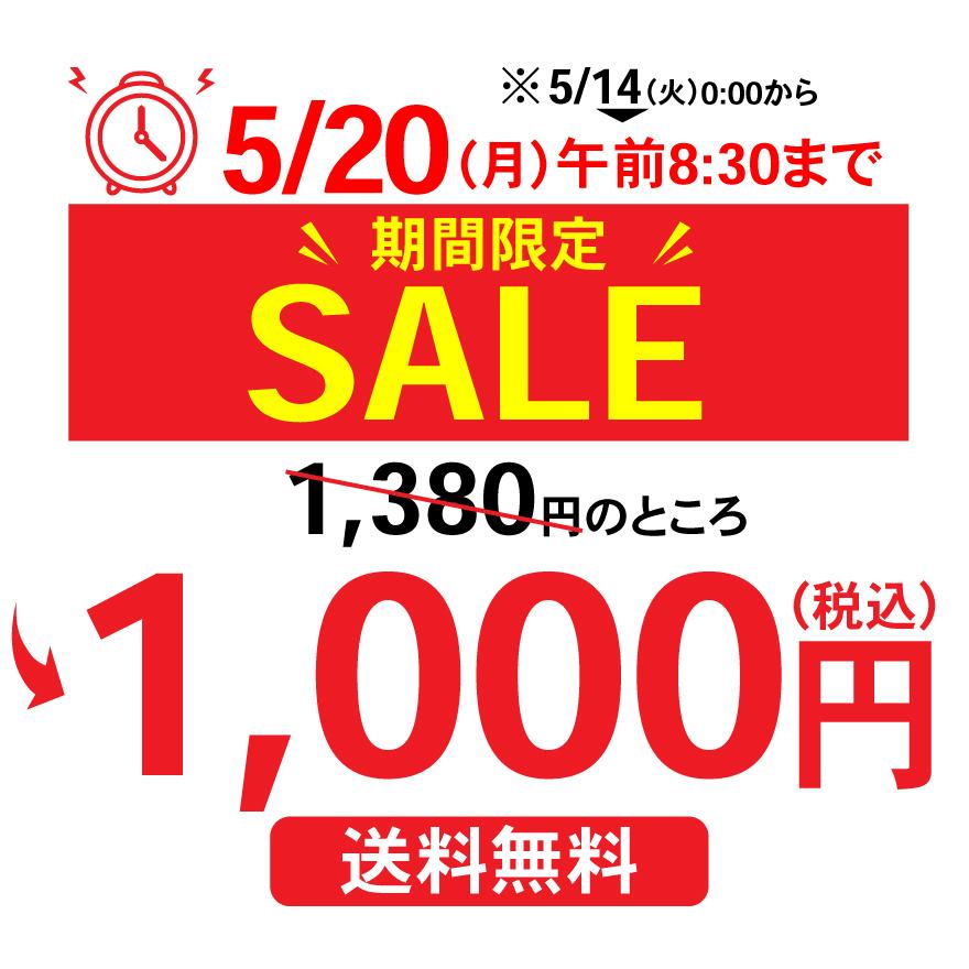 お茶 ほうじ茶 ティーバッグ 静岡茶 カテキン 徳用 100ヶ入り お得 がぶ飲みほうじ茶ティーパック 送料無料 セール ■5813｜arahata｜02