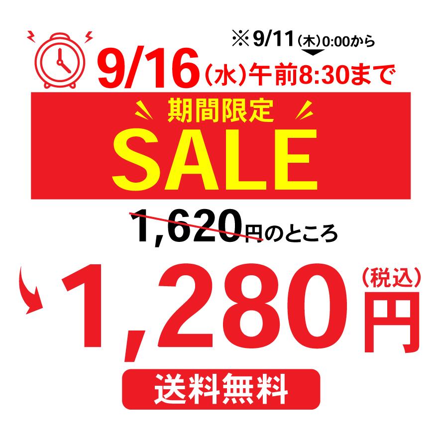 お茶 ほうじ茶 ティーバッグ 静岡茶 徳用 100ヶ入り お得 がぶ飲みほうじ茶ティーパック セール ポイント利用 ポイント消化 爆買 ■5813 | お茶の荒畑園 | 01