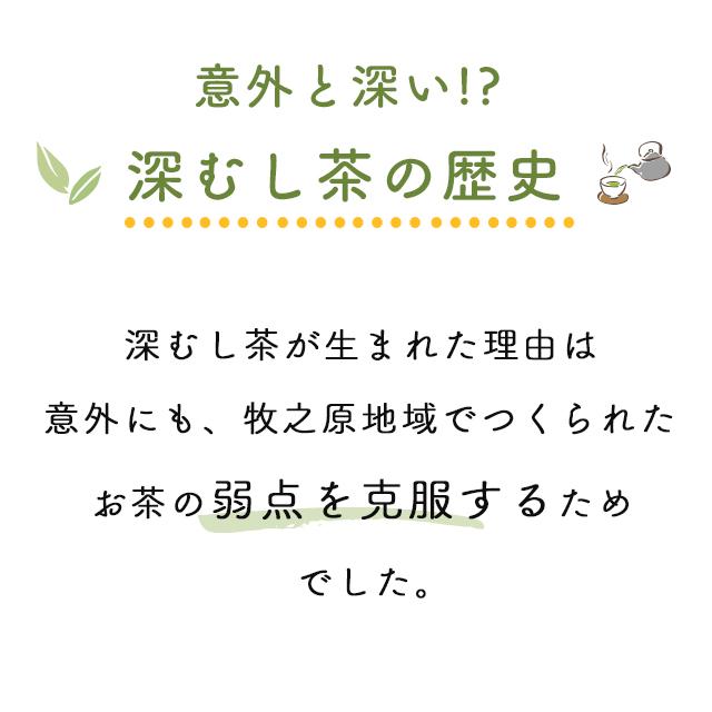 お茶 緑茶 茶葉 深蒸し茶 日本茶 お茶の葉 静岡茶 徳用 お得 がぶ飲み静岡深むし茶 3袋 送料無料 セール ポイント利用 ポイント消化 爆買 ■5892 | お茶の荒畑園 | 07