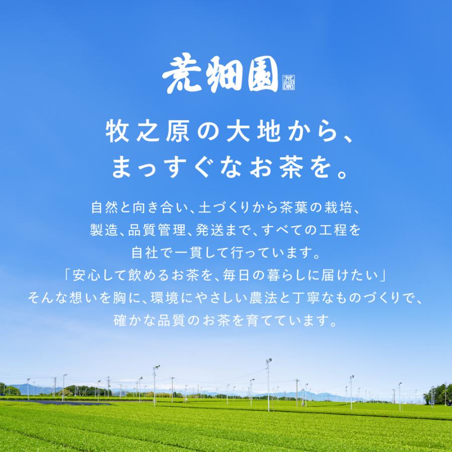 健康茶 プーアール茶 国産 プーアル茶 ティーパック ダイエット お茶 大容量 SARYU-SOSO 2g×30ヶ 3袋 ポイント利用 ポイント消化 爆買 | お茶の荒畑園 | 17