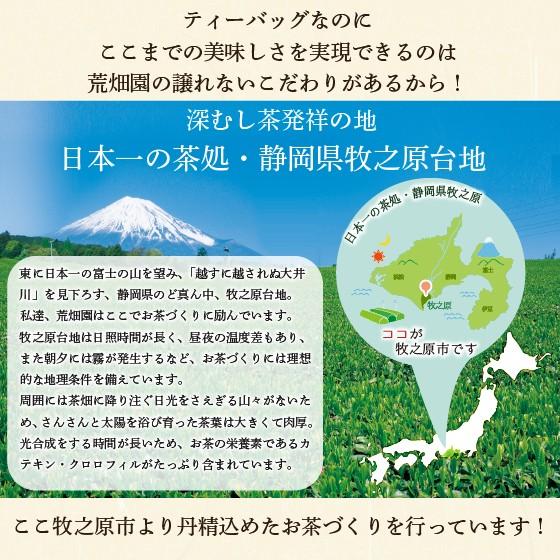 お茶 緑茶 ティーバッグ ティーパック 深蒸し茶 日本茶 静岡茶 水出し緑茶 望 銀印ティーパック 2g×30ヶ 送料無料 セール ■5921｜arahata｜12