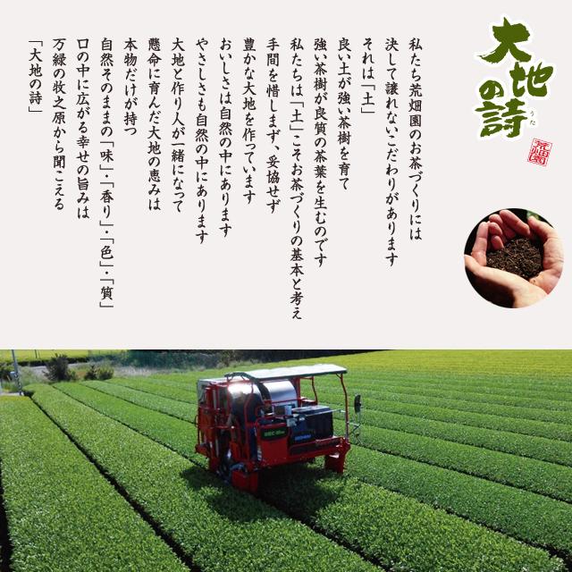 お茶 ほうじ茶 茶葉 お茶の葉 深蒸し茶 日本茶 静岡茶 徳用 がぶ飲み静岡ほうじ茶 4袋 ポイント利用 ポイント消化 爆買 ■5975 | お茶の荒畑園 | 15