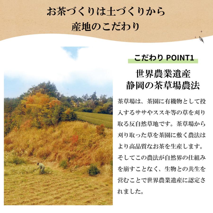 福袋 2026 食品 お茶 ほうじ茶 緑茶 茶葉 深蒸し茶 日本茶 お茶の葉 静岡茶 詰め合せ がぶ飲み大入り茶葉3種 送料無料 ポイント利用 ポイント消化 爆買 ■30704 | お茶の荒畑園 | 14