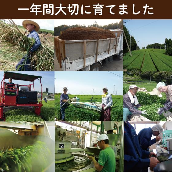 母の日ギフト ランキング 母の日 プレゼント スイーツ 新茶 お茶 和菓子 3種から選べる母の日ギフト 送料無料 Set2 お茶の荒畑園ヤフー店 通販 Yahoo ショッピング
