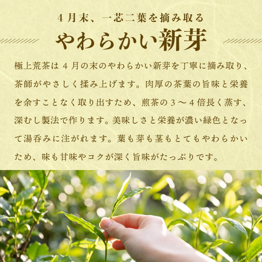 敬老の日 プレゼント 80代 70代 ギフト 2026 花 ミニ胡蝶蘭 お茶 緑茶 静岡茶 選べるミニ胡蝶蘭＆静岡茶 ポイント利用 ポイント消化 爆買 | お茶の荒畑園 | 10