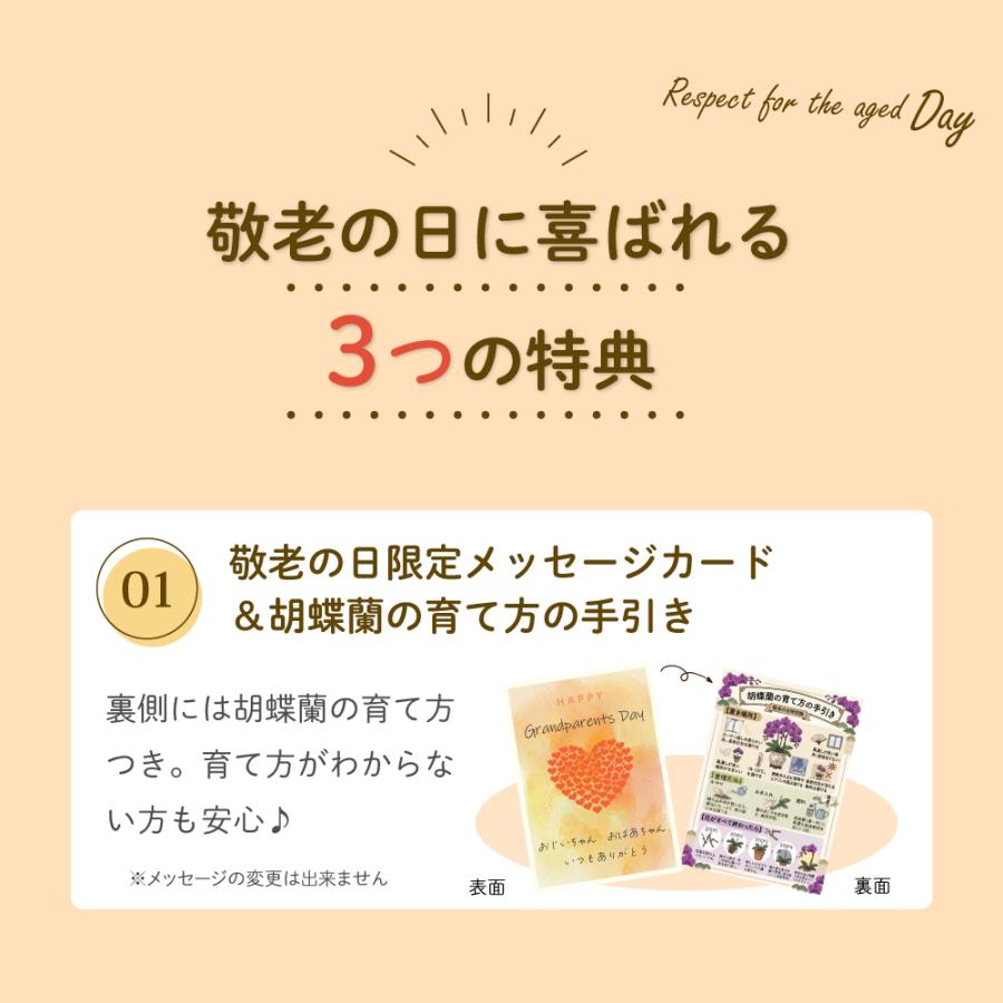 敬老の日 プレゼント 80代 70代 ギフト 2026 花 ミニ胡蝶蘭 お茶 緑茶 静岡茶 選べるミニ胡蝶蘭＆静岡茶 ポイント利用 ポイント消化 爆買 | お茶の荒畑園 | 12