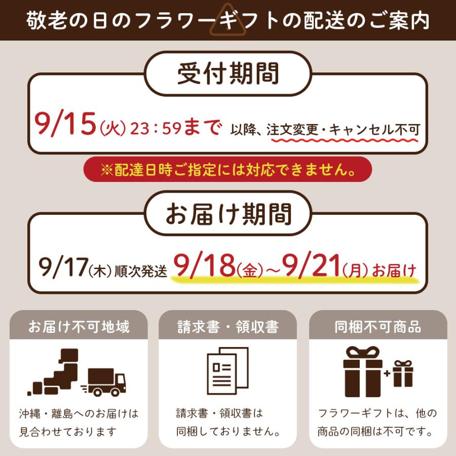 敬老の日 プレゼント 80代 70代 ギフト 2026 花 ミニ胡蝶蘭 お茶 緑茶 静岡茶 選べるミニ胡蝶蘭＆静岡茶 ポイント利用 ポイント消化 爆買 | お茶の荒畑園 | 17