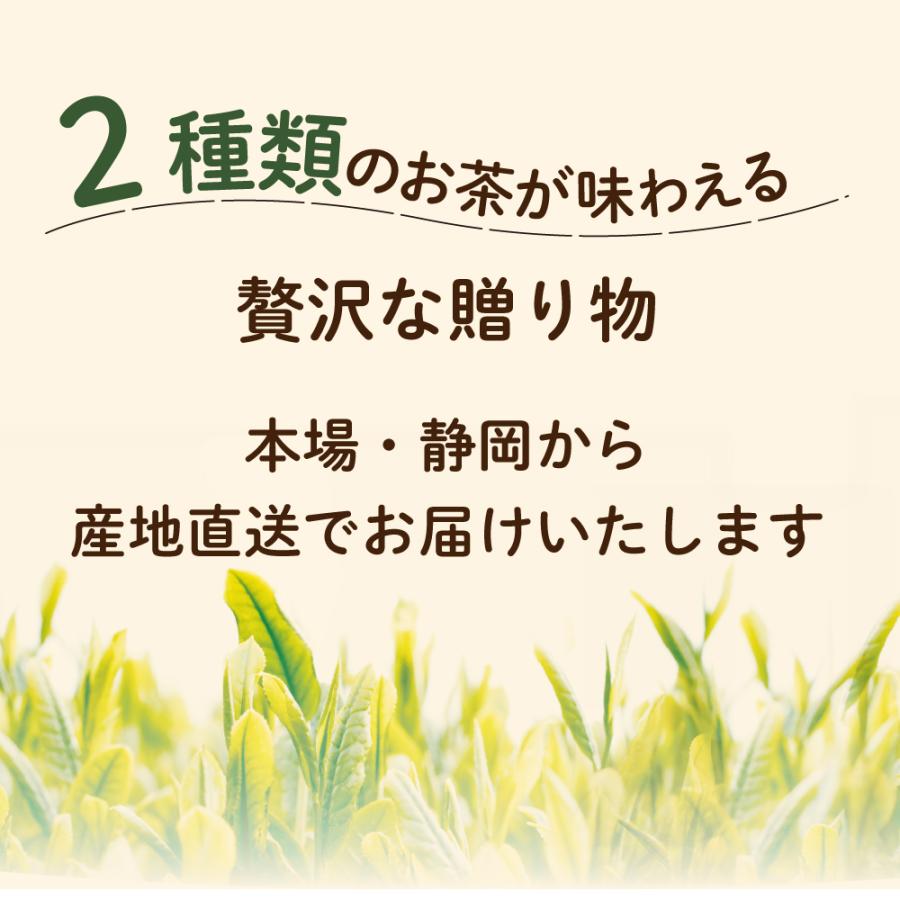 ホワイトデー 2026 プレゼント ギフト お茶 緑茶 ほうじ茶 茶葉 深蒸し茶 日本茶 お茶の葉 3種類から選べるお茶缶 茶こし＆茶さじ付き セット 爆買 | お茶の荒畑園 | 12