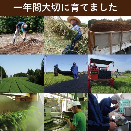 父の日 スイーツ ギフト 2026 プレゼント  お茶 緑茶 和菓子 60代 70代 静岡新茶＆ありがとう茶どら ポイント利用 ※チルド便 爆買 超PayPay祭 ■30252 | お茶の荒畑園 | 13
