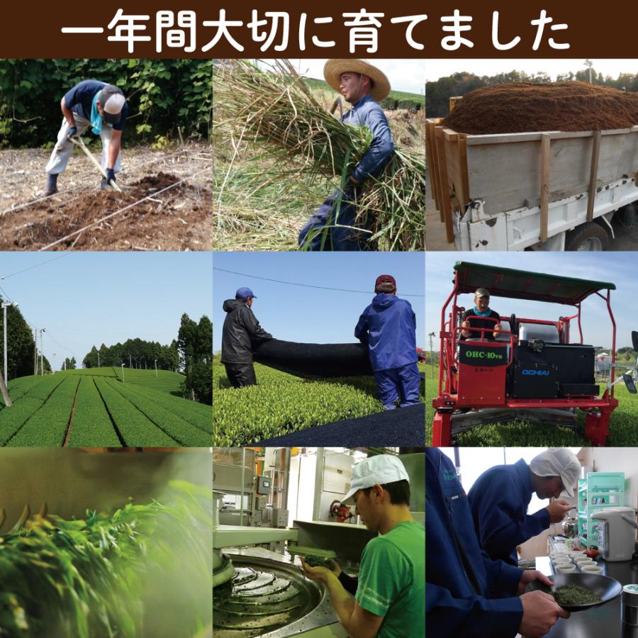 お歳暮 ギフト 2026 プレゼント お茶 スイーツ 緑茶 和菓子 静岡茶＆茶どらセット ポイント利用 爆買 ■30599 | お茶の荒畑園 | 18