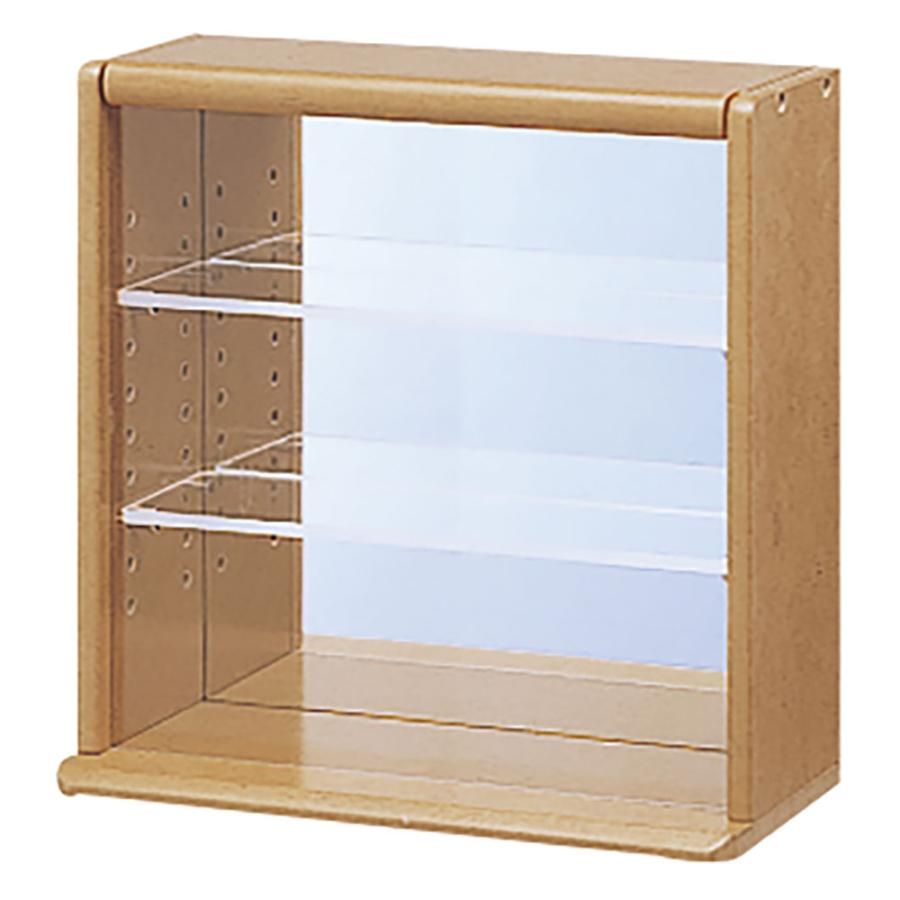 ナカバヤシ コレクションケース ミニ／ブラウン CCM-N001S : アライ