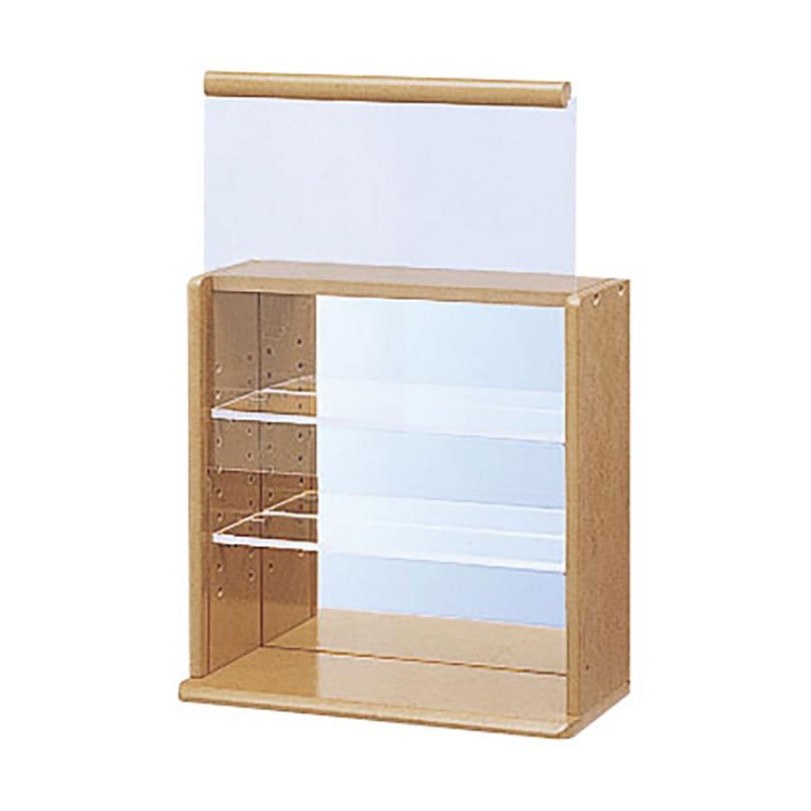 ナカバヤシ コレクションケース ミニ／ブラウン CCM-N001S : アライ