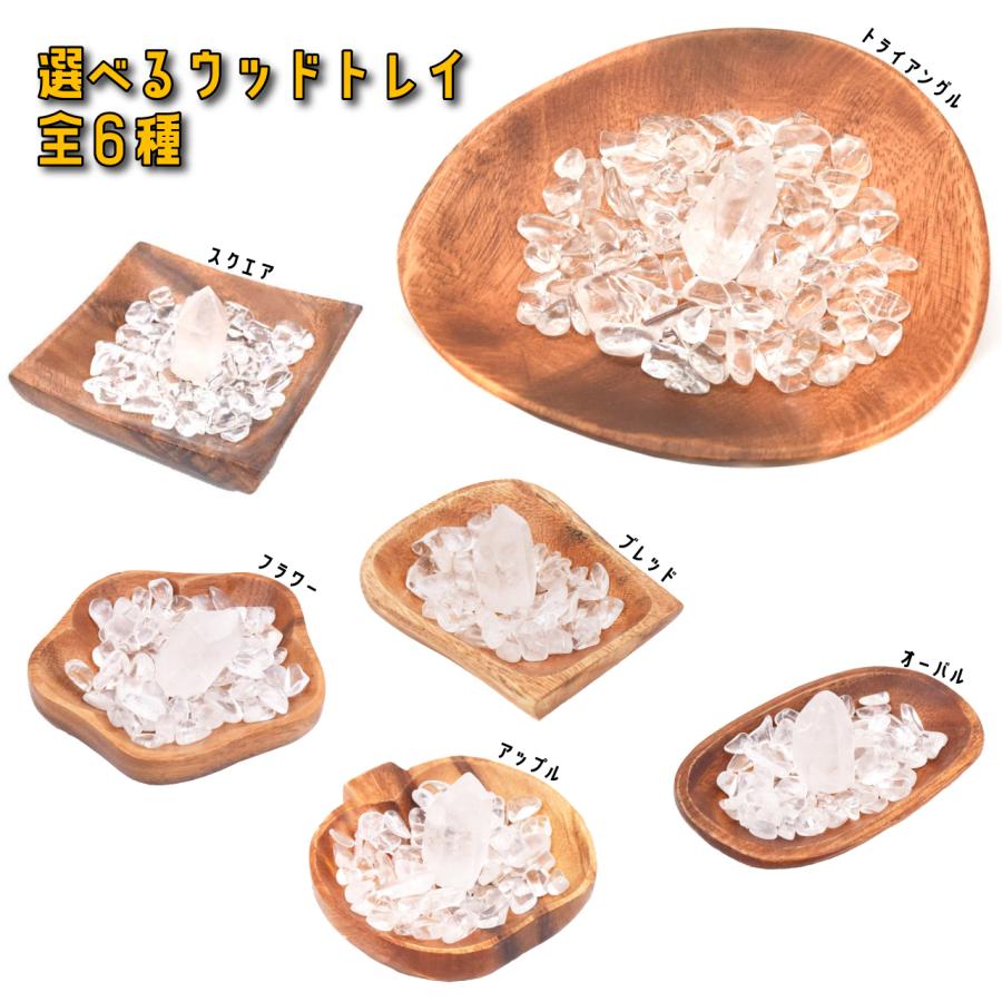 庭木 植木 果樹 すだち 酢橘 5号 スダチ 佐川急便 非売品