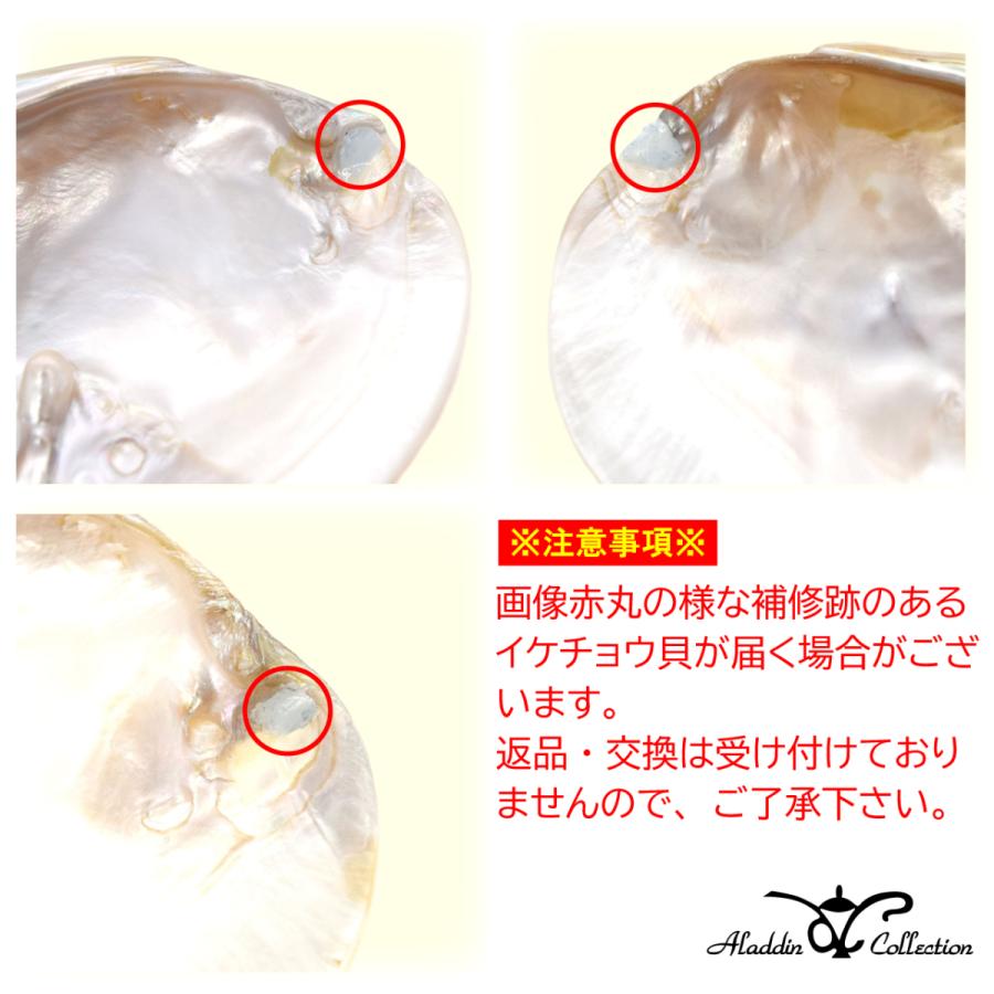 浄化アソート】イケチョウ貝 パールシェル クリスタルチューナー 浄化