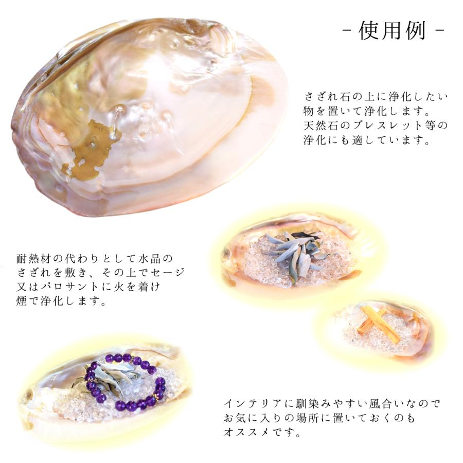 浄化アソート】イケチョウ貝 パールシェル クリスタルチューナー 浄化