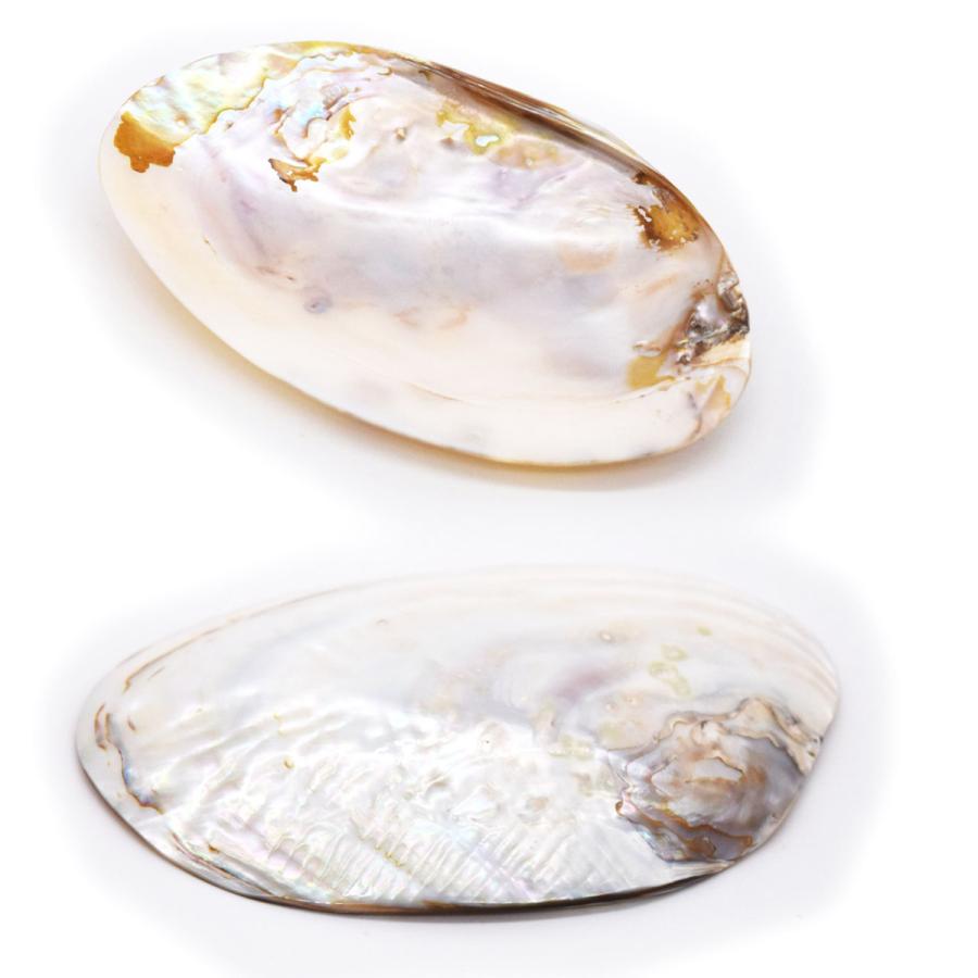 イケチョウ貝 パールシェル 天然真珠貝殻 浄化 スマッジング 香皿 瞑想 パワーストーン 風水 ヒーリング J 2112 アラジンコレクション 通販 Yahoo ショッピング
