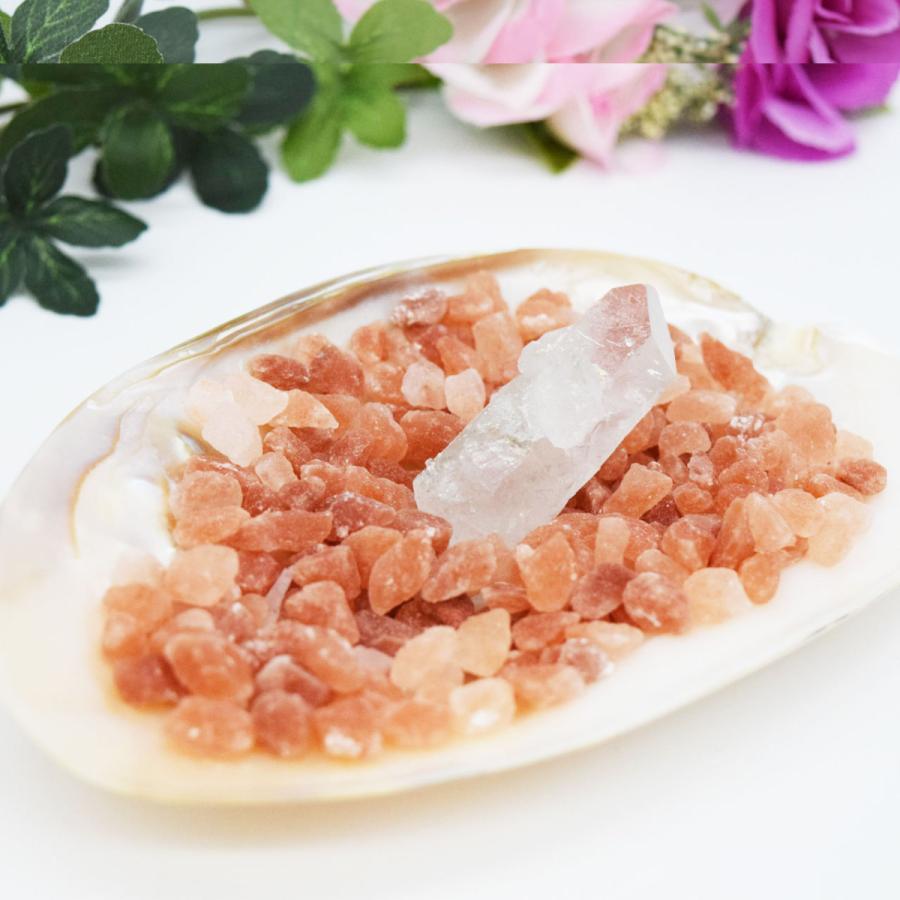 強力浄化セット】大粒ヒマラヤ岩塩 天然水晶 イケチョウ貝 パール