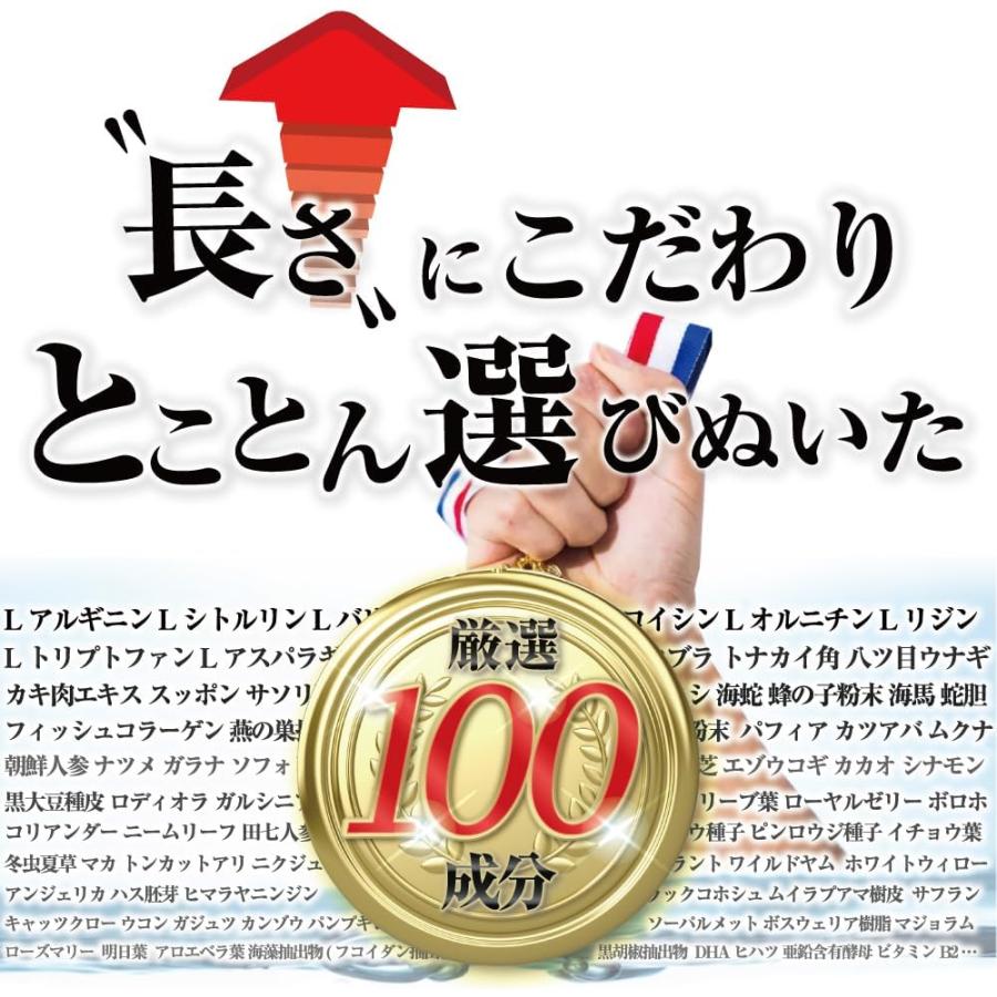 マックスロンガー MaxLonger シトルリン アルギニン マカ スッポン マムシ 厳選100成分 1箱60粒入り 約30日分 マカ スッポン 1箱60粒入り 約30日分