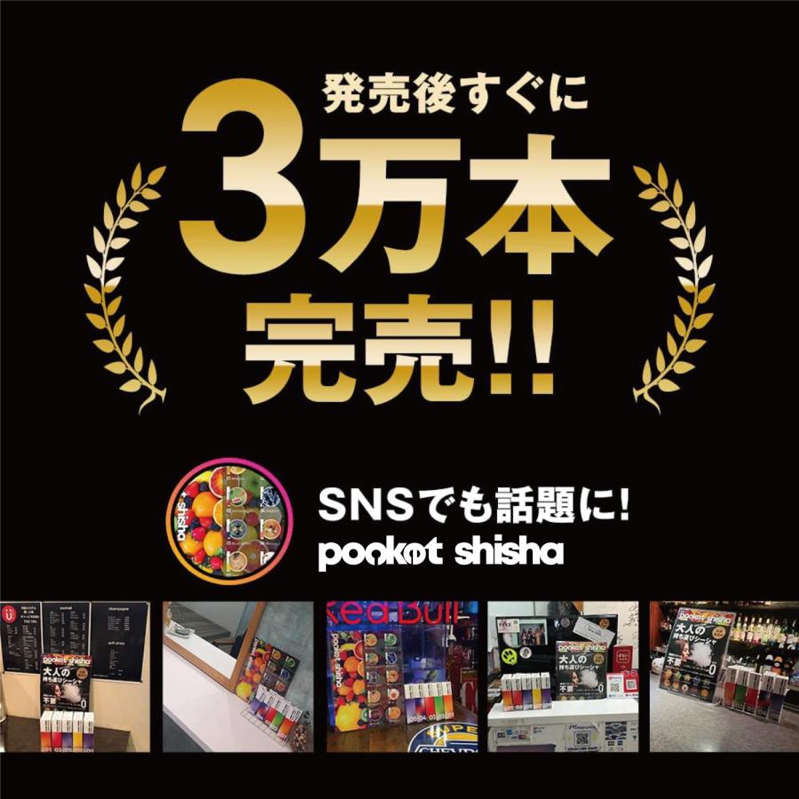 ポケットシーシャ pocket shisha 1本 約300回吸引 持ち運び シーシャ 