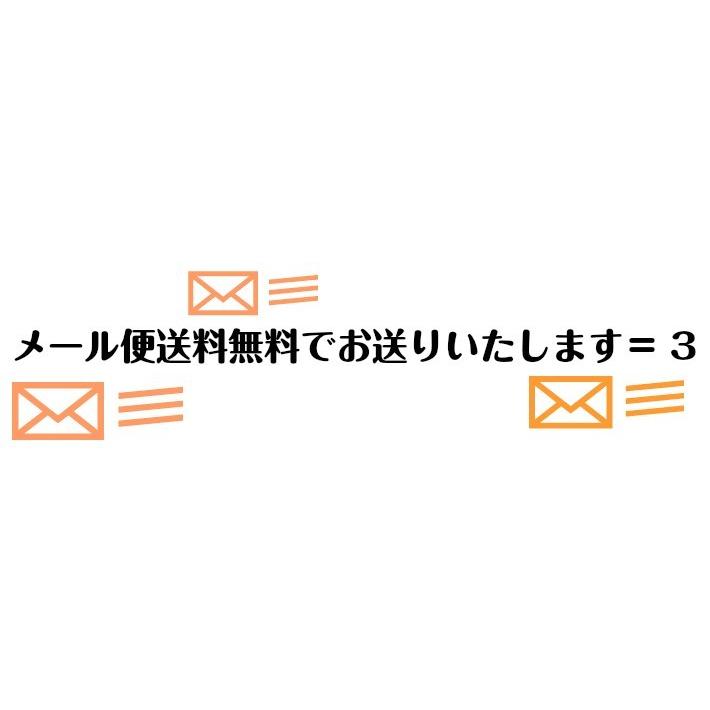 金印 わさび塩(SH-100)100g フレーバーソルト 本わさび 本ワサビ 業務用　送料無料｜araki-noriten｜05