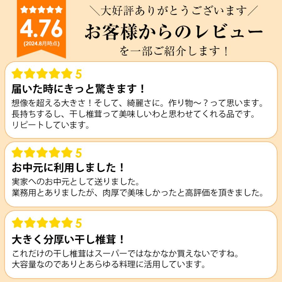 送料無料 大容量 愛媛県産 干ししいたけ 業務用 肉厚どんこ椎茸