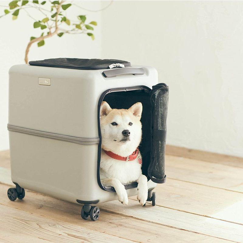 中型犬用 ペットキャリー スーツケースタイプ PETICO (ペチコ）Lサイズ グレー ペットキャリー スーツケースタイプ PETICO ペチコ Lサイズ グレー