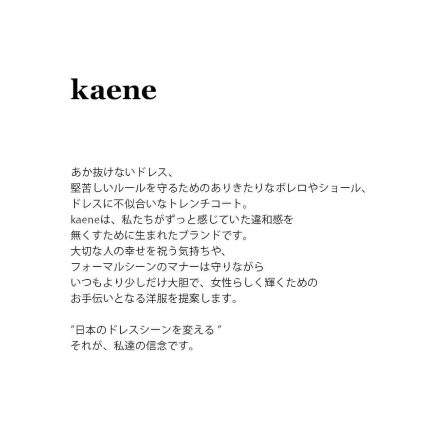 kaene カエン シャンブレー Aライン ドレス 100768  レディース 2024ss新作｜aranciato｜04