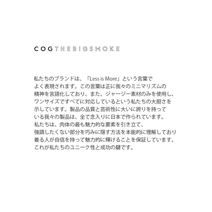 コグザビッグスモーク COGTHEBIGSMOKE ハイゲージコットン サイドスリット ドレス JOHANNA DRESS 14401-114-1012-1 レディース 春夏 2026ss新作の画像