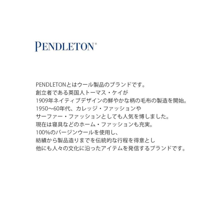 PENDLETON ペンドルトン ×Helinox ヘリノックス コンフォートチェア Chair One Home 19757004｜aranciato｜03