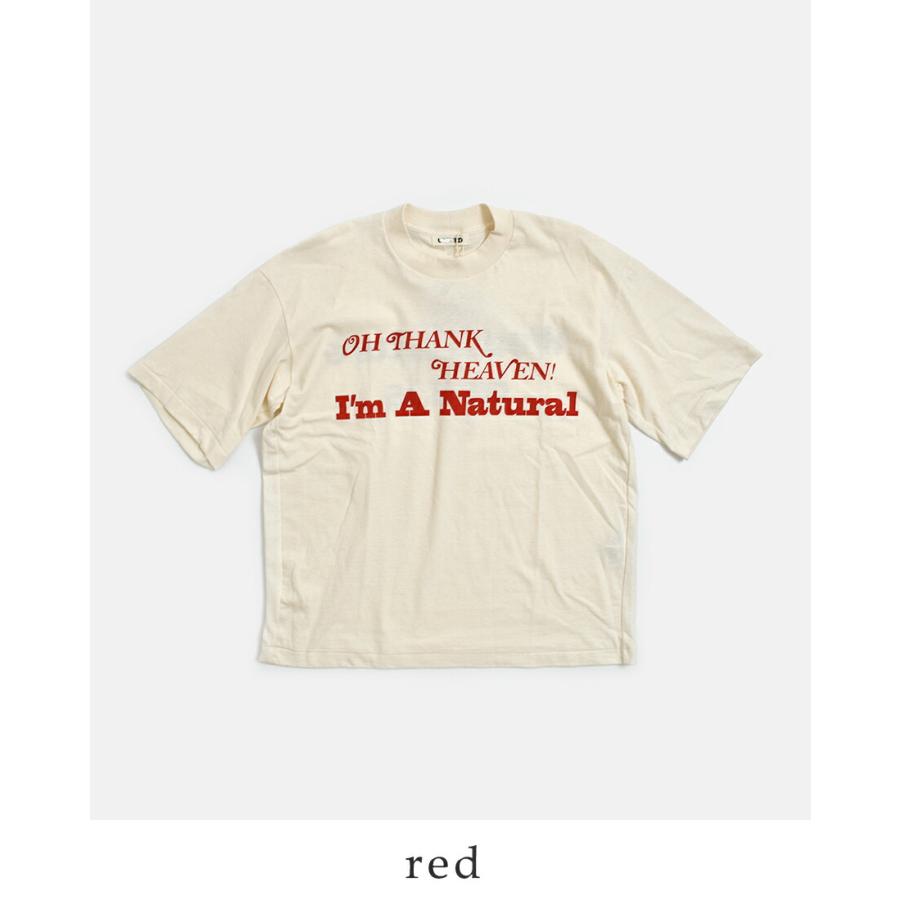 アンダイド UNDYED  オーガニックコットン 半袖 プリントTシャツ 30PV PT-T 26s341a レディース  春夏 2026ss新作の画像