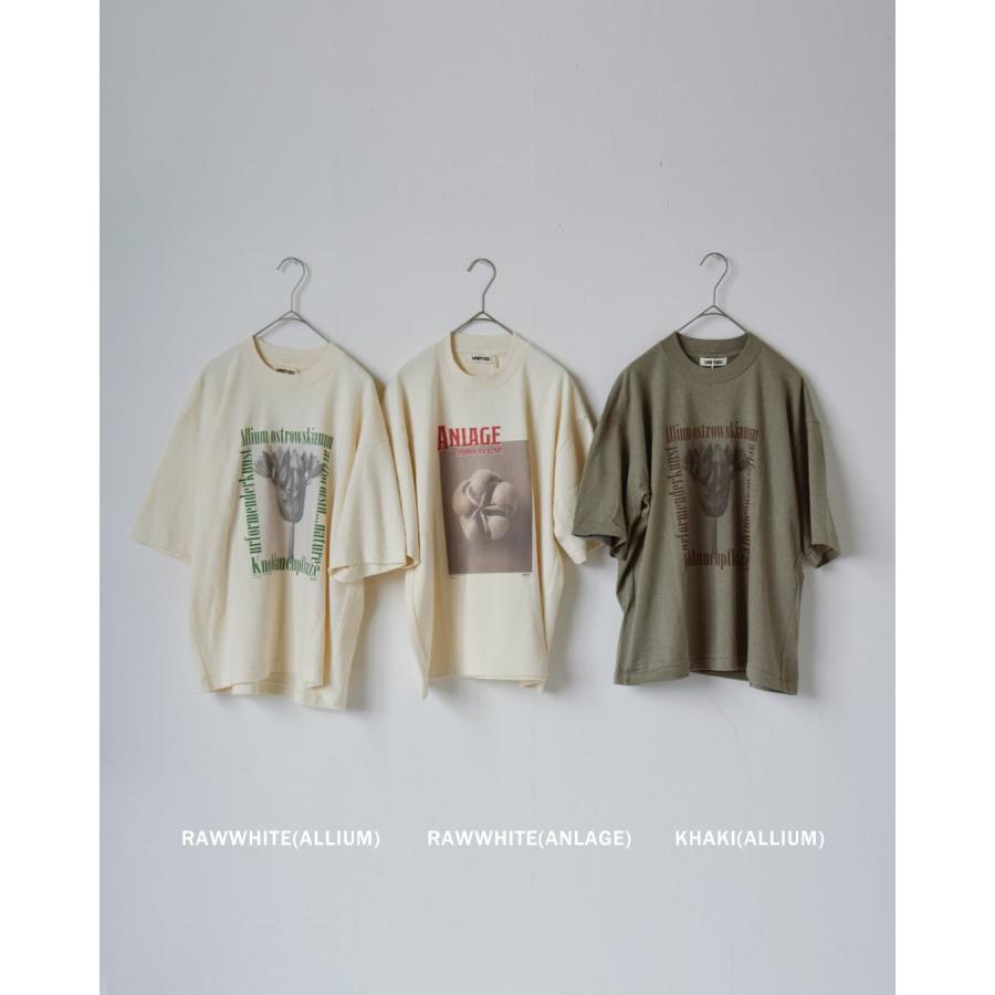 アンダイド UNDYED  オーガニックコットン 半袖 プリントTシャツ Karl Blossfeldt PT-T 26s348a-c レディース  春夏 2026ss新作の画像
