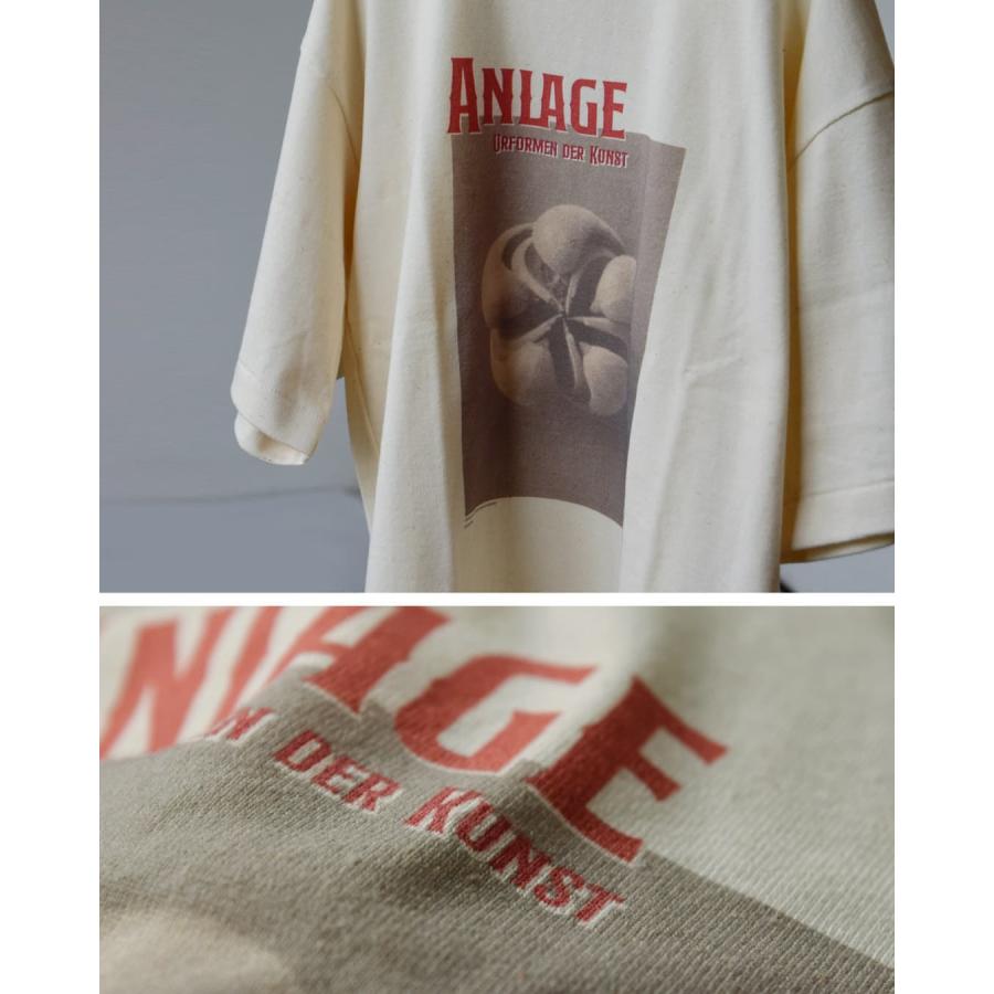 アンダイド UNDYED  オーガニックコットン 半袖 プリントTシャツ Karl Blossfeldt PT-T 26s348a-c レディース  春夏 2026ss新作の画像