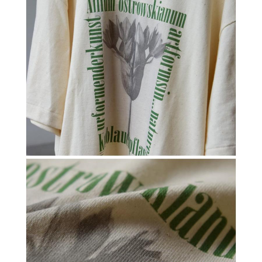 アンダイド UNDYED  オーガニックコットン 半袖 プリントTシャツ Karl Blossfeldt PT-T 26s348a-c レディース  春夏 2026ss新作の画像
