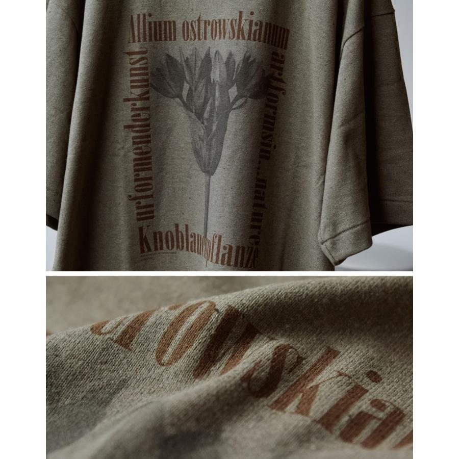アンダイド UNDYED  オーガニックコットン 半袖 プリントTシャツ Karl Blossfeldt PT-T 26s348a-c レディース  春夏 2026ss新作の画像
